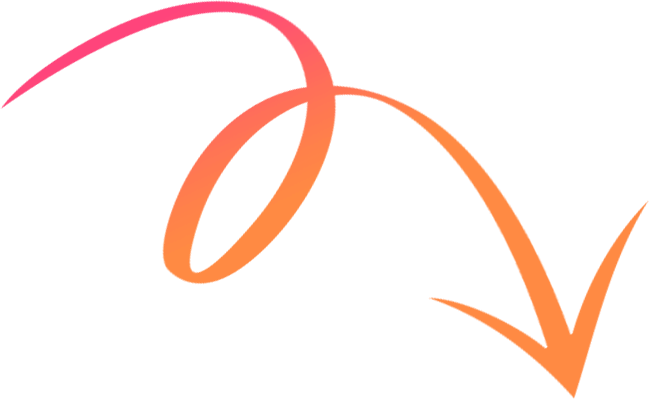 Seta